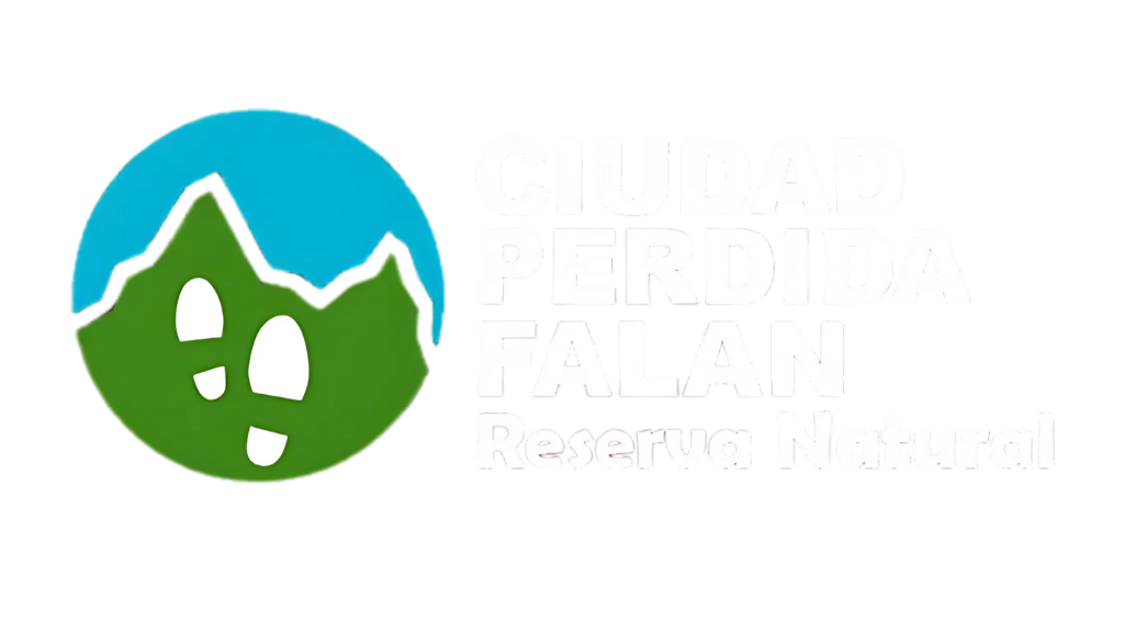 CIUDAD PERDIDA FALAN